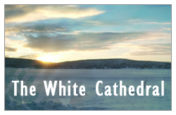 The White Cathedral 2016